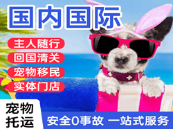 北海空运地址国际宠物托运 【国